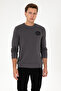 Men's Regular Fit Crew Neck Gray Sweatshirt 50308717-Vr024 - 3