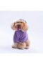 Lila Lucca Teddy Bear Ears Plush Dog Outfit Cat Outfit Dog Sweati - 3