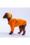 Orange Cancun - Cancún Jacket Gabardine Snap Fastener Cat Dog Jacket Cat Dog Outfit Cat Dog Clothes - 4