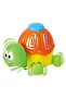 TORTOISE ALONG-RECYCLED MATERIAL - 3