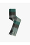 Soft Textured Tasseled Plaid Long Scarf