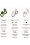 Engage 2 Ear Plugs – 16 dB Noise Reduction - 8