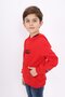 Red Boy's Relax Fit Hooded Pocket Embroidery Printed Sweatshirt - 2 Thread - 3