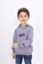 Dark Gray Boy's Relax Fit Hooded Pocket Embroidery Printed Sweatshirt - 2 Thread - 3