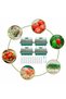 4Pcs Mini Greenhouse 12 Compartments Indoor Greenhouse Propagation Greenhouse Nursery Box With Ai... - 2