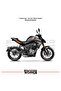 ملصق CFMOTO 250NK على الذيل الخلفي يمينًا ويسارًا 250 كلمة - 2
