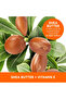 Shea Butter Formula Raw Shea Nourish Body Oil with Vitamin Infused Blend of Oil-250ML - 4