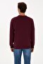 Men's Regular Sweatshirt G081Sz082 - 3