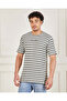 Men Grey Striped T-Shirt