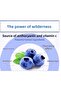 Wonder Blueberry Anti-Age Eye Cream 20 Gr - Antioxidant Effect - 3