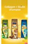 Collagen Biotin Shampoos 480 ml 3 Units (H-Pro Hygiene Market)
