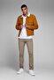 Cream Light Color Chino Trousers - Marco Intelligence 12150160 - 4