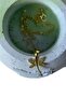 - Melik 9215 7257 Gold Color Stone Detailed Butterfly Model Necklace - 2