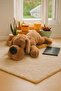 75 cm Lying down Dog Brown Plush Sleeping & Playmate