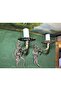 A Pair of Antique European Brass Sconces - 20 cm by 20 cm in Size - 7