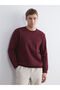 Crew neck printed men's sweatshirt