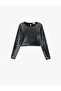 Long Sleeve Crew Neck Shiny Blouse
