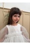 Ekru Back Bow Floral Embroidered Tulle Skirt Long Tulle Sleeves Girls' Dress for Baby Girls - 4