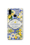 Samsung Galaxy A20 / A30 Compatible Lemon Patterned Transparent Phone Case