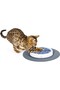 Cat It Design Senses Scratch Pad Refill For Cat & Small Dog - 4