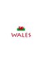 WALES WITH FLAG FOR KIDS - 3