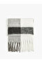 Soft Textured Checkered Tassel Long Scarf - 2