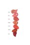 Unreal Liquid Blush Liquid Blush That Gives a Wet Look Blush Whim Elsbeauty - 2