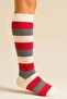 Striped and Colorful Knee-Length Socks - 6