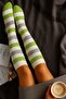 Striped and Colorful Knee-Length Socks - 2