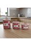 3-Piece Bird Studio Pink Color Bird Patterned Enamel Countertop Jar Set - 950-650-400 ml. - 2