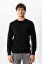 Black Regular Fit Crew Neck Cotton Knitwear Sweater - 2