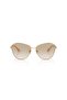 4337Si 848/11 60 Women's Sunglasses - 5