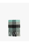 Soft Textured Tasseled Plaid Long Scarf - 2