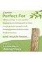 Bamboo Reed Privacy Sceen Fence for Garden and Balcony - 100cm x 600cm - 4
