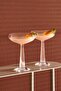 67306 Nude Big Top 6-Pack Cocktail Glass 235Cc - 3