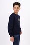 سويت شيرت رجالي باللون الأزرق الداكن من Relaxed Fit Crew Neck مطبوع - 2 Thread - 4
