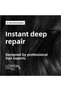 Absolut Repair Repairing Gold Mask for Damaged Hair 250 ml - 2