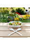 Square salad plate