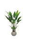 شجرة عصفور الجنة الاصطناعية بمركن بلاستيك دائرى 140 سم - 2