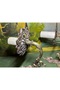 A Pair of Antique European Brass Sconces - 20 cm by 20 cm in Size - 4