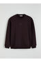 Lcw Vision Brown Crew Neck Printed Men's Thick Sweatshirt - 5