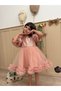 Powder Sequin Detailed Skirt with Ruffle Hem Girls Children Baby Girls Evening Dress - 2