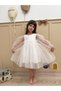 Ekru Back Bow Floral Embroidered Tulle Skirt Long Tulle Sleeves Girls' Dress for Baby Girls - 6