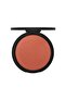 Cheek Blush Powder - Shade 18 - 2