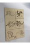 6 Pieces Wooden Coaster - 3