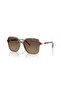 Ax 4163S 8396t5 53 Women's Sunglasses