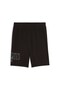 Pantaloni scurți Sort ESS LOGO LAB Execution 10" - 2