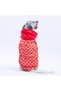 Lisbon Sunset Red Rainbow Pattern Large Breed Dog Coat Dog Raincoat Dog Outfit Dog - 4