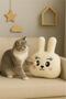 Rabbit Pillow Mimi – Fiber Filled Cute Decorative Pillow 35X35 cm (230 Gr) - 3