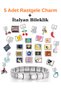 5 Pieces of Random Charms + 1 Italian Bracelet + Surprise Gift Included
